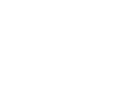 27b 300533961